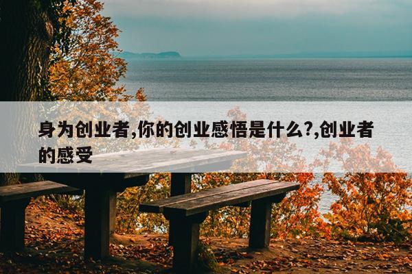 身为创业者,你的创业感悟是什么?,创业者的感受