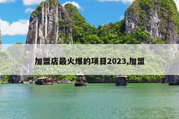 加盟店最火爆的项目2023,加盟