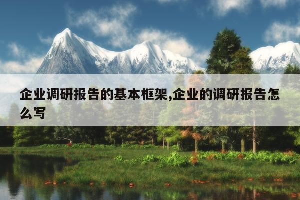 企业调研报告的基本框架,企业的调研报告怎么写