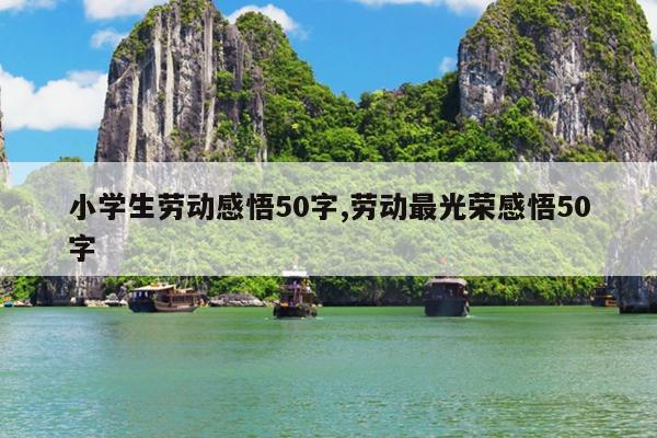 小学生劳动感悟50字,劳动最光荣感悟50字