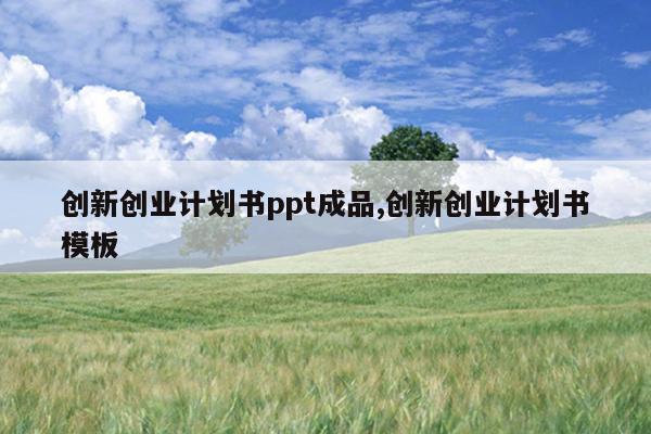 创新创业计划书ppt成品,创新创业计划书模板