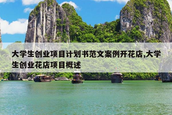 大学生创业项目计划书范文案例开花店,大学生创业花店项目概述