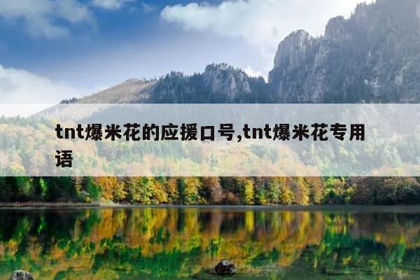 tnt爆米花的应援口号,tnt爆米花专用语
