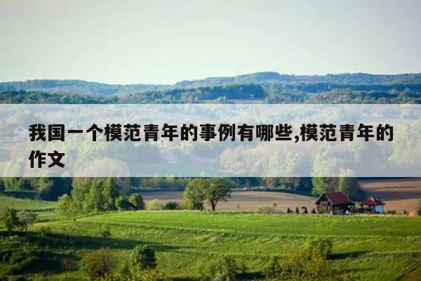 我国一个模范青年的事例有哪些,模范青年的作文