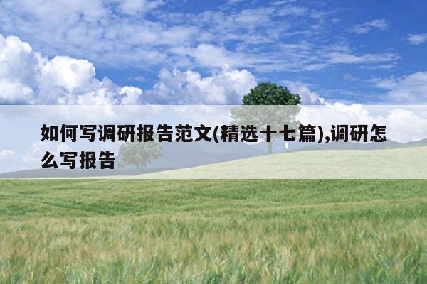 如何写调研报告范文(精选十七篇),调研怎么写报告