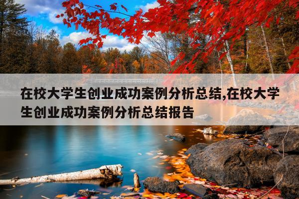在校大学生创业成功案例分析总结,在校大学生创业成功案例分析总结报告