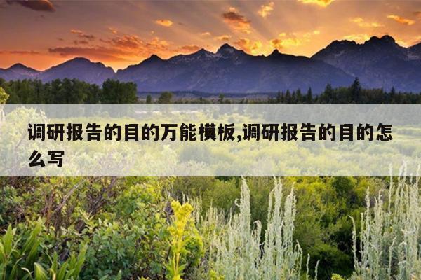 调研报告的目的万能模板,调研报告的目的怎么写