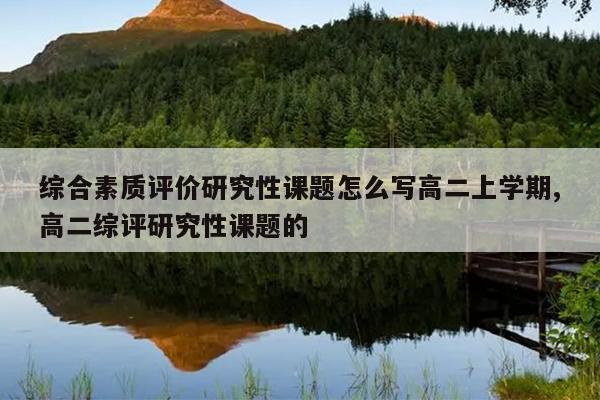 综合素质评价研究性课题怎么写高二上学期,高二综评研究性课题的