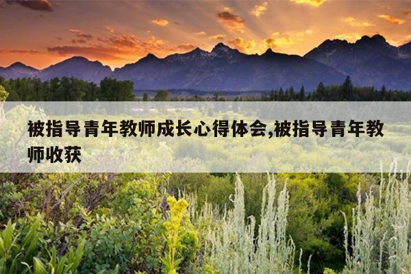 被指导青年教师成长心得体会,被指导青年教师收获