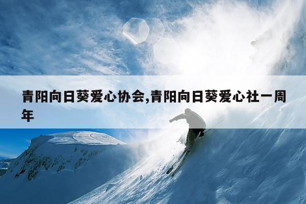 青阳向日葵爱心协会,青阳向日葵爱心社一周年