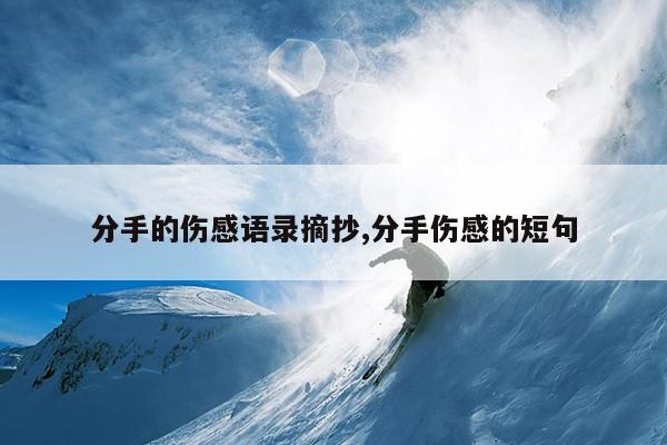 分手的伤感语录摘抄,分手伤感的短句
