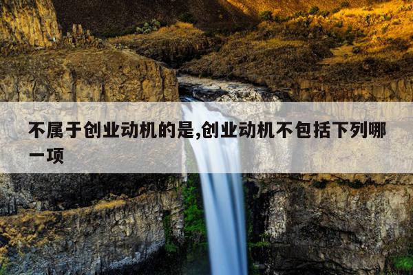 不属于创业动机的是,创业动机不包括下列哪一项