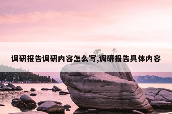 调研报告调研内容怎么写,调研报告具体内容