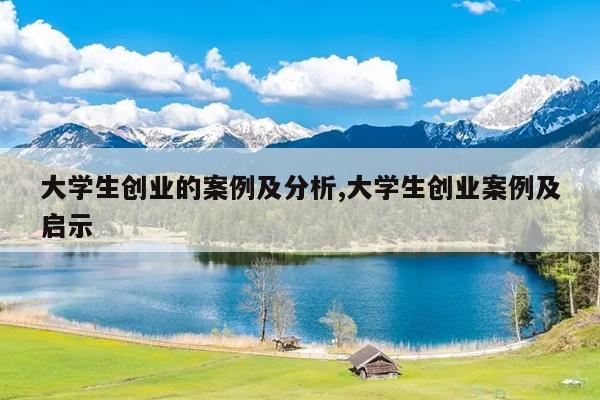 大学生创业的案例及分析,大学生创业案例及启示