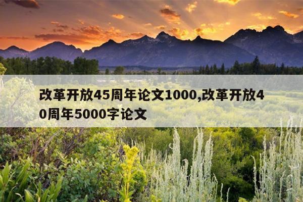 改革开放45周年论文1000,改革开放40周年5000字论文