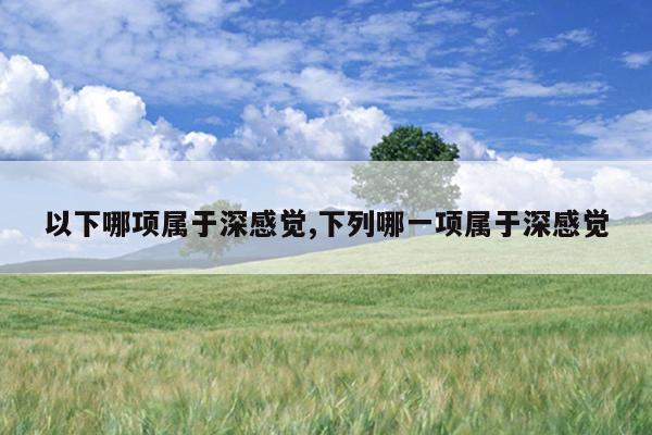 以下哪项属于深感觉,下列哪一项属于深感觉