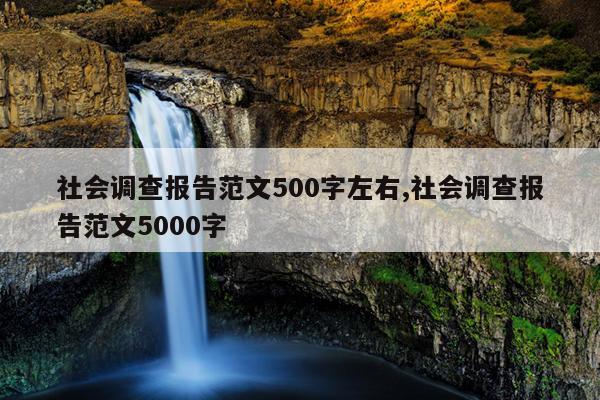 社会调查报告范文500字左右,社会调查报告范文5000字