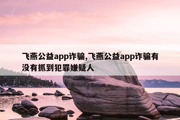 飞燕公益app诈骗,飞燕公益app诈骗有没有抓到犯罪嫌疑人