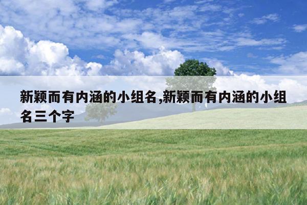 新颖而有内涵的小组名,新颖而有内涵的小组名三个字