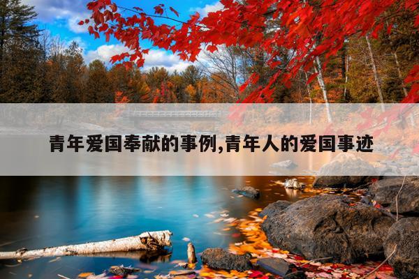 青年爱国奉献的事例,青年人的爱国事迹