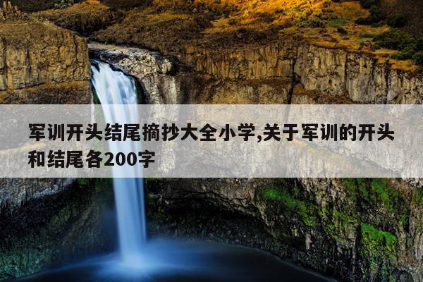 军训开头结尾摘抄大全小学,关于军训的开头和结尾各200字