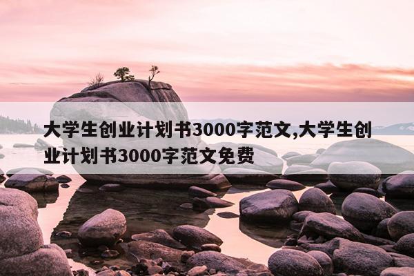 大学生创业计划书3000字范文,大学生创业计划书3000字范文免费