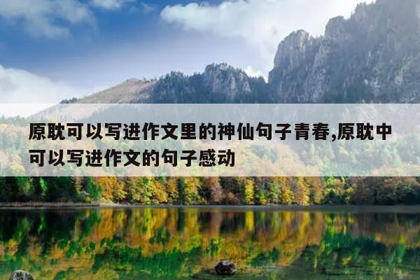 原耽可以写进作文里的神仙句子青春,原耽中可以写进作文的句子感动