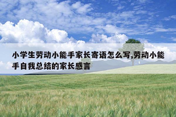 小学生劳动小能手家长寄语怎么写,劳动小能手自我总结的家长感言