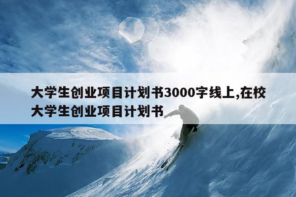 大学生创业项目计划书3000字线上,在校大学生创业项目计划书