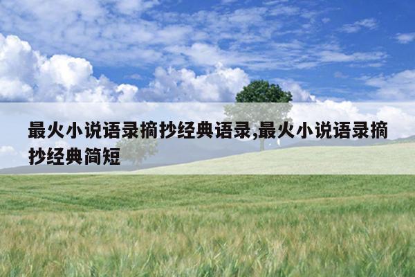 最火小说语录摘抄经典语录,最火小说语录摘抄经典简短