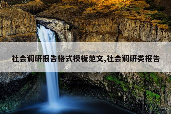 社会调研报告格式模板范文,社会调研类报告