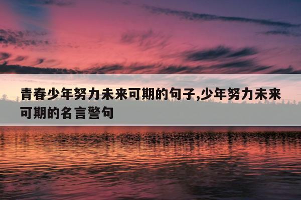 青春少年努力未来可期的句子,少年努力未来可期的名言警句