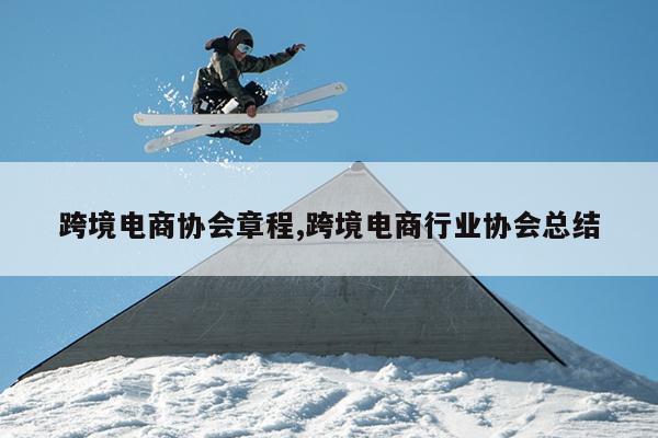 跨境电商协会章程,跨境电商行业协会总结