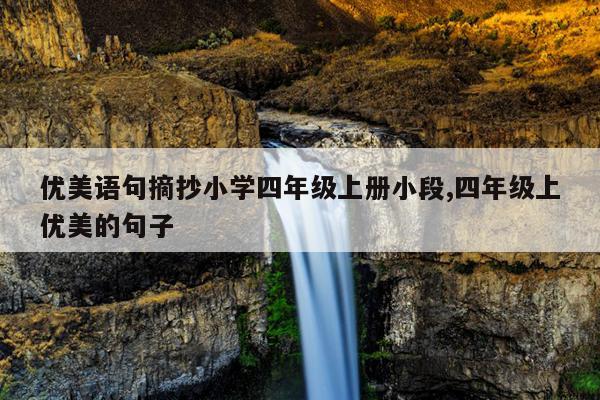 优美语句摘抄小学四年级上册小段,四年级上优美的句子