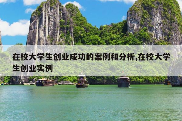 在校大学生创业成功的案例和分析,在校大学生创业实例