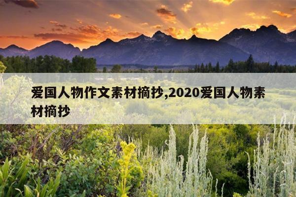 爱国人物作文素材摘抄,2020爱国人物素材摘抄