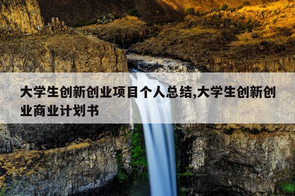 大学生创新创业项目个人总结,大学生创新创业商业计划书