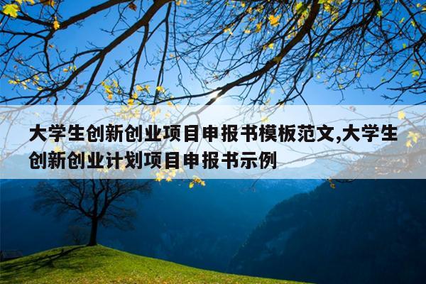大学生创新创业项目申报书模板范文,大学生创新创业计划项目申报书示例