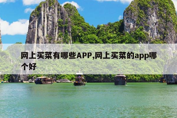 网上买菜有哪些APP,网上买菜的app哪个好