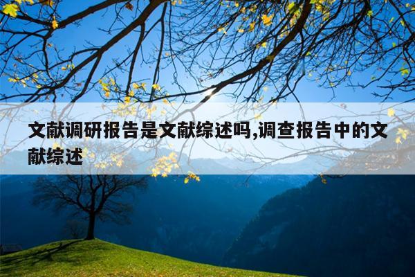 文献调研报告是文献综述吗,调查报告中的文献综述