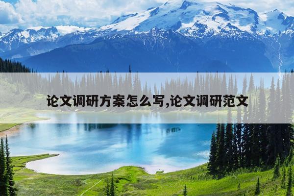 论文调研方案怎么写,论文调研范文