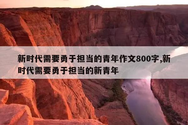 新时代需要勇于担当的青年作文800字,新时代需要勇于担当的新青年
