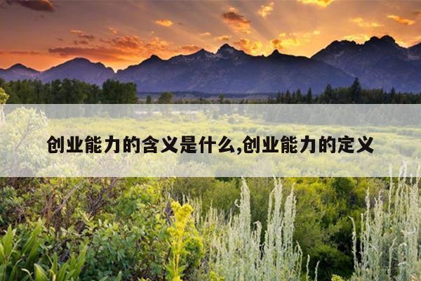 创业能力的含义是什么,创业能力的定义