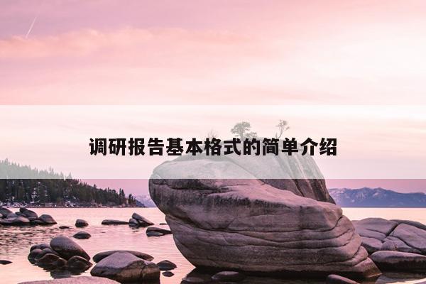 调研报告基本格式的简单介绍