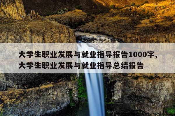 大学生职业发展与就业指导报告1000字,大学生职业发展与就业指导总结报告