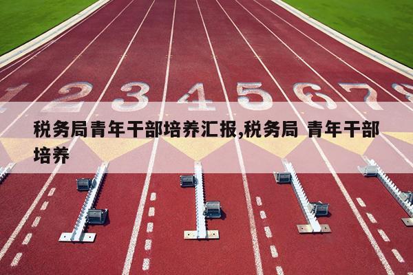 税务局青年干部培养汇报,税务局 青年干部培养