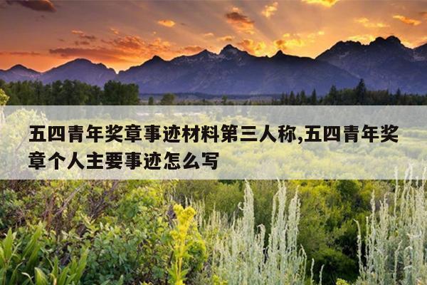 五四青年奖章事迹材料第三人称,五四青年奖章个人主要事迹怎么写