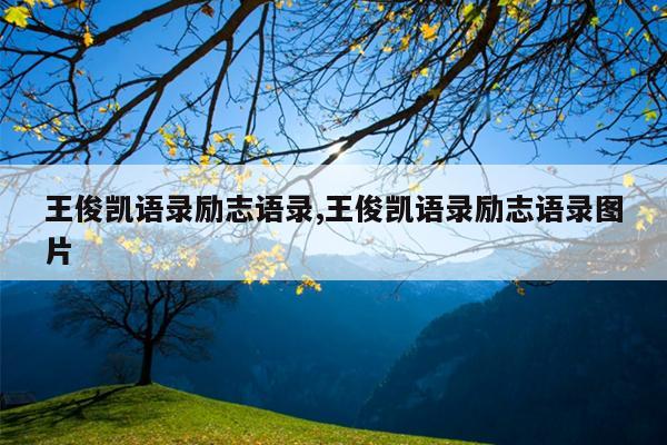 王俊凯语录励志语录,王俊凯语录励志语录图片