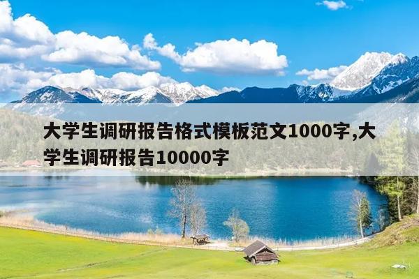 大学生调研报告格式模板范文1000字,大学生调研报告10000字