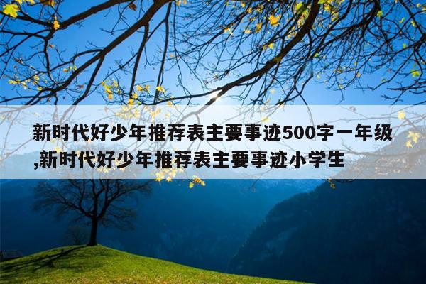 新时代好少年推荐表主要事迹500字一年级,新时代好少年推荐表主要事迹小学生